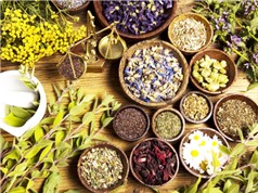 Xác định đồng thời nhiều chất tân dược trong thuốc đông y bằng sắc ký lỏng hiệu năng cao